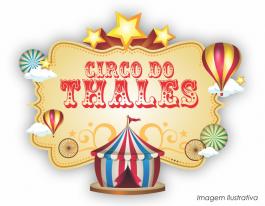 Placa decorativa circo vintage - 70x57cm  70x57cm  Impressão UV  